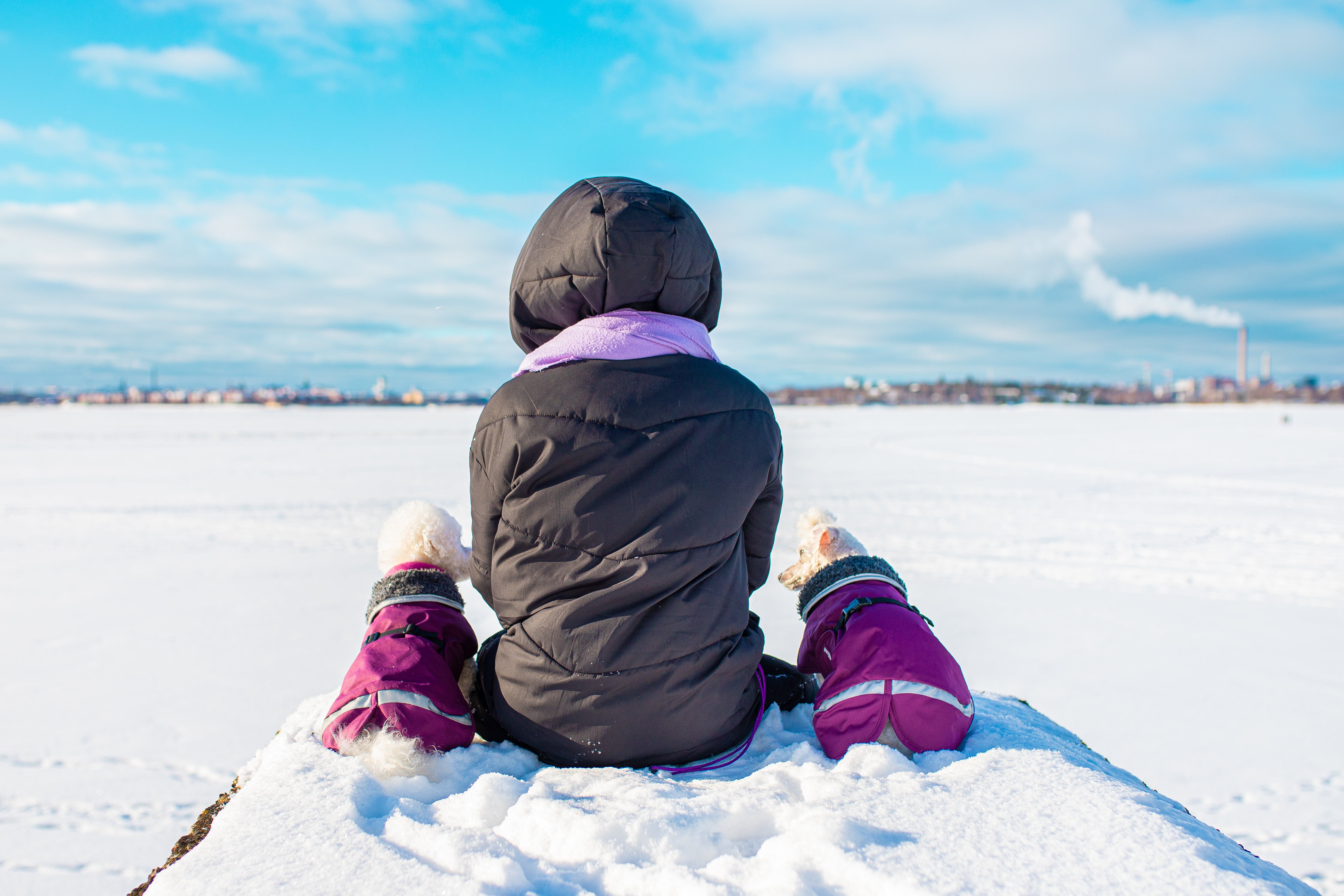 PerusPomppa - Wintermantel | Gr.40 | Plum