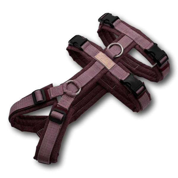 BT EasyWalkPlus - Sicherheitsgeschirr