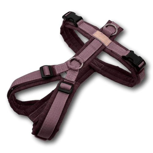 BT EasyWalk®