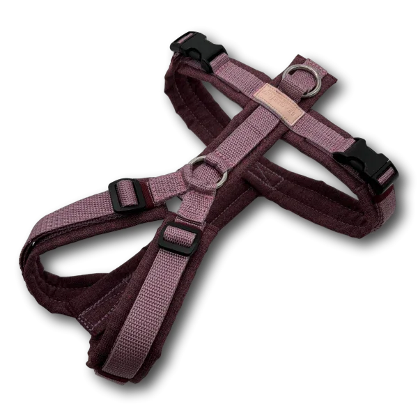 BT EasyWalk® Hundegeschirr in Altrosa und Brombeere mit gepolsterten Gurten, verstellbaren Riemen, schwarzen Schnallen und Edelstahlringen