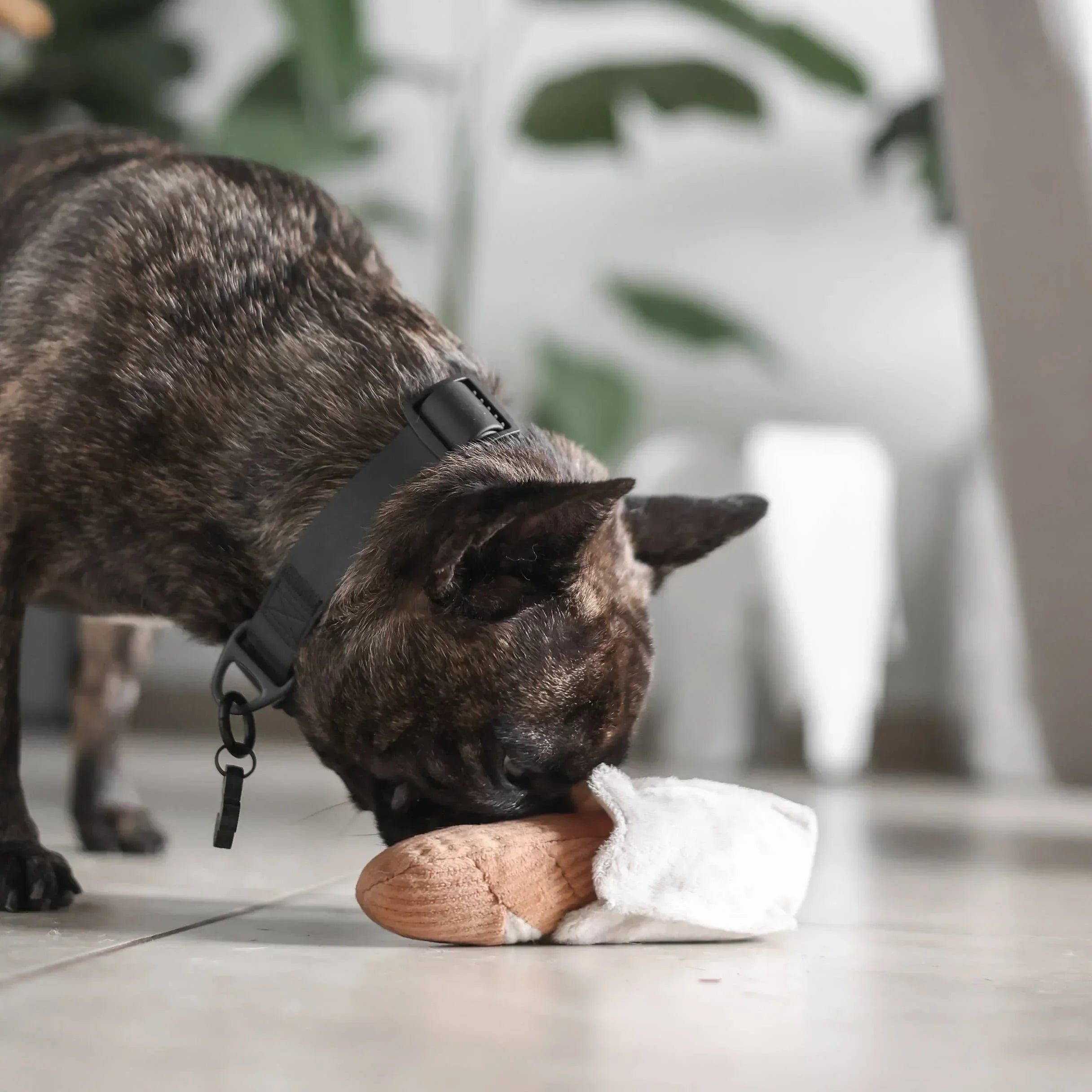 Lambwolf Mini-Baguette Schnüffelspielzeug für kleine Hunde - Beagletuff