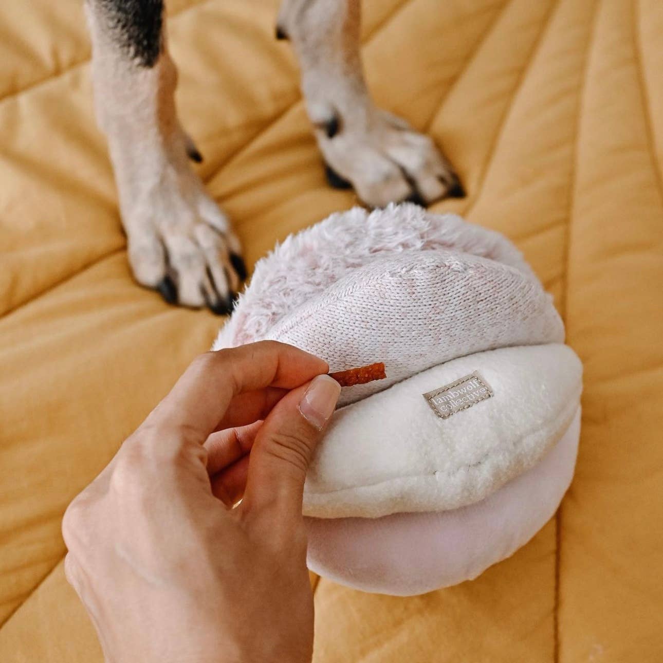 Lambwolf TOTO Schnüffelball für Nasenarbeit und Beschäftigung