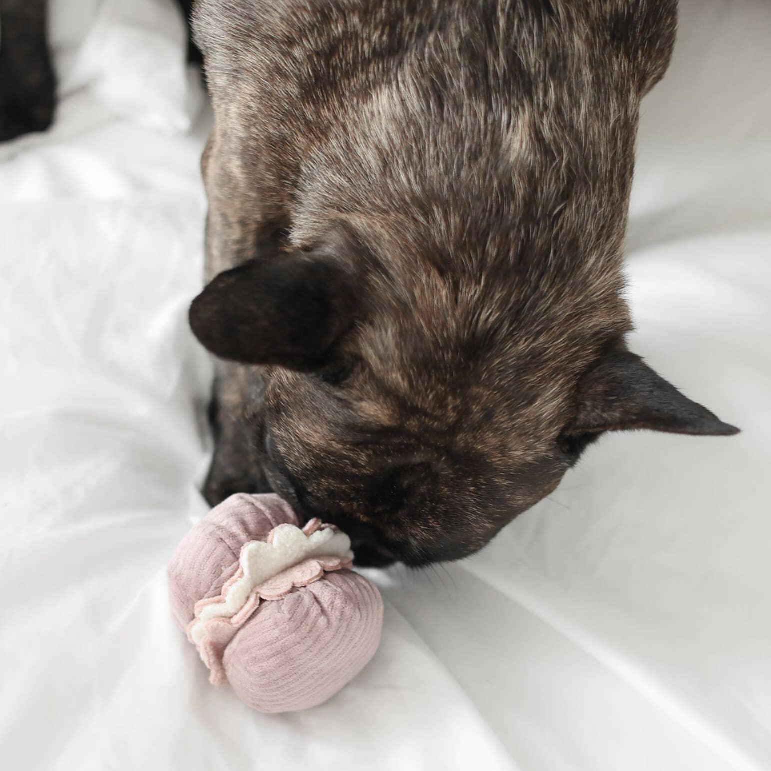 Lambwolf Kleine Zwei Mini-Schnüffelset für kleine Hunde - Beagletuff