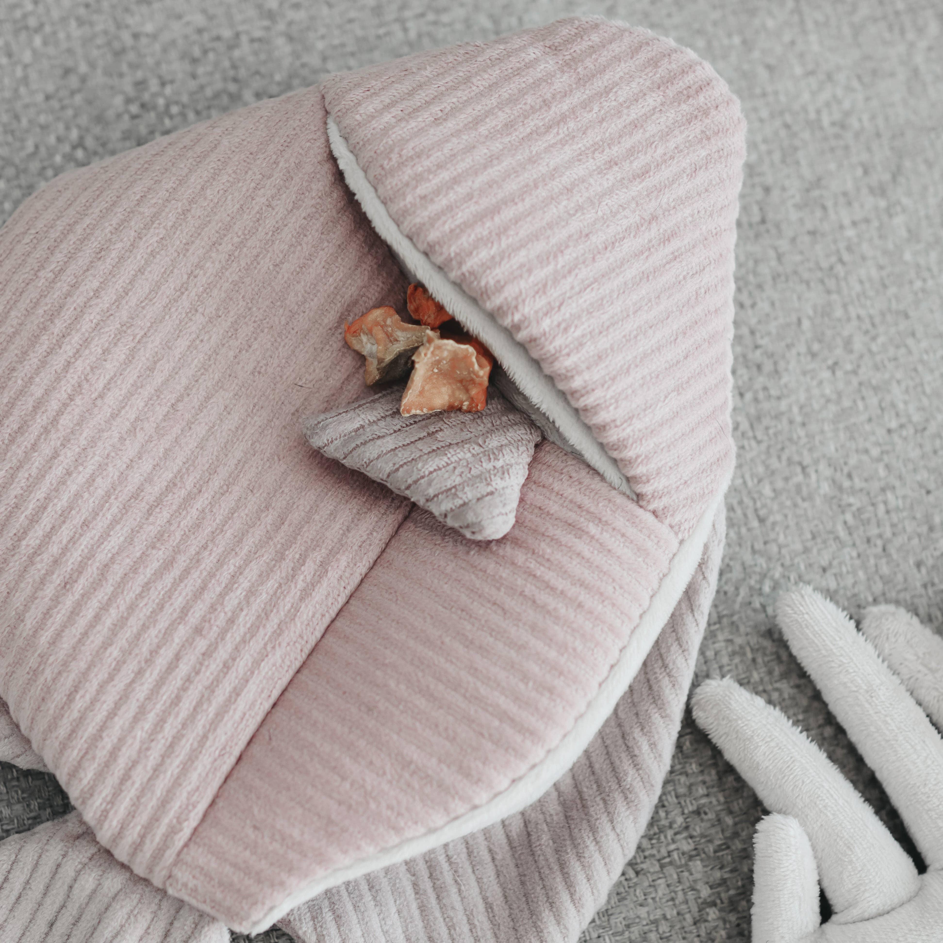 Lambwolf Engelfisch 2-in-1 Versteck- und Schnüffelspielzeug - Beagletuff