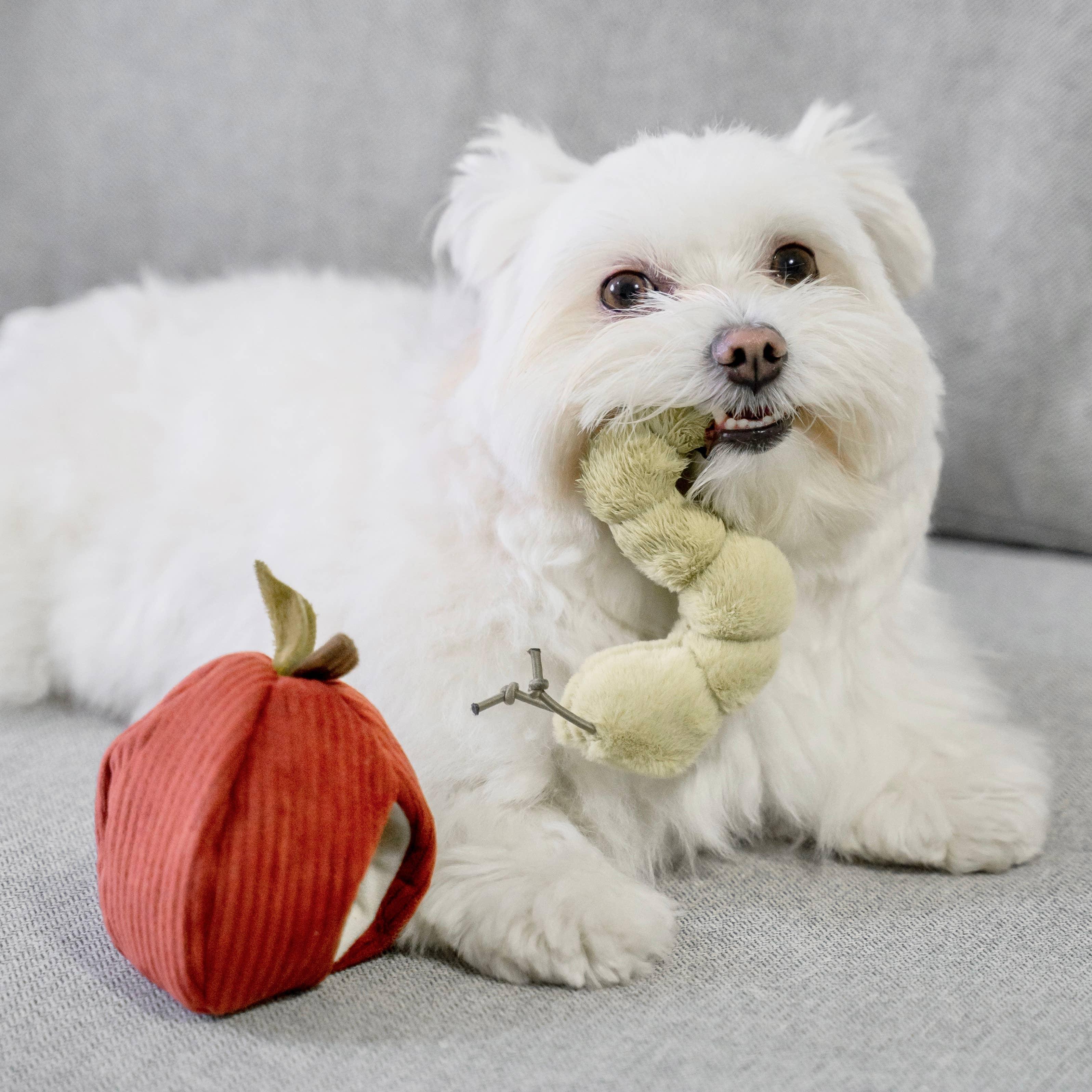 Lambwolf Apple Versteckspielzeug mit Raupe - Beagletuff