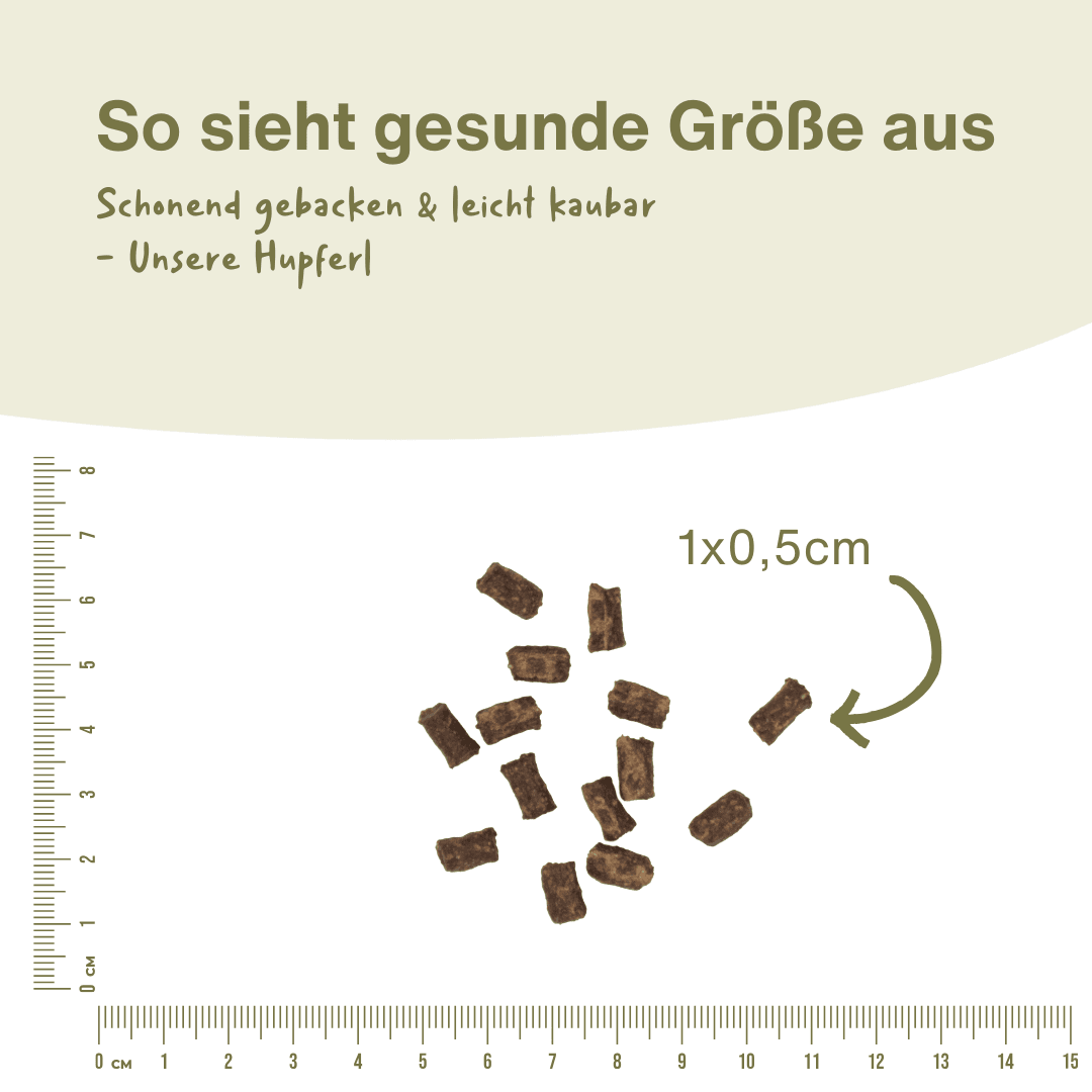 Escapure Hupferl neben einem Lineal, ein Stück misst etwa 1 × 0,5 cm