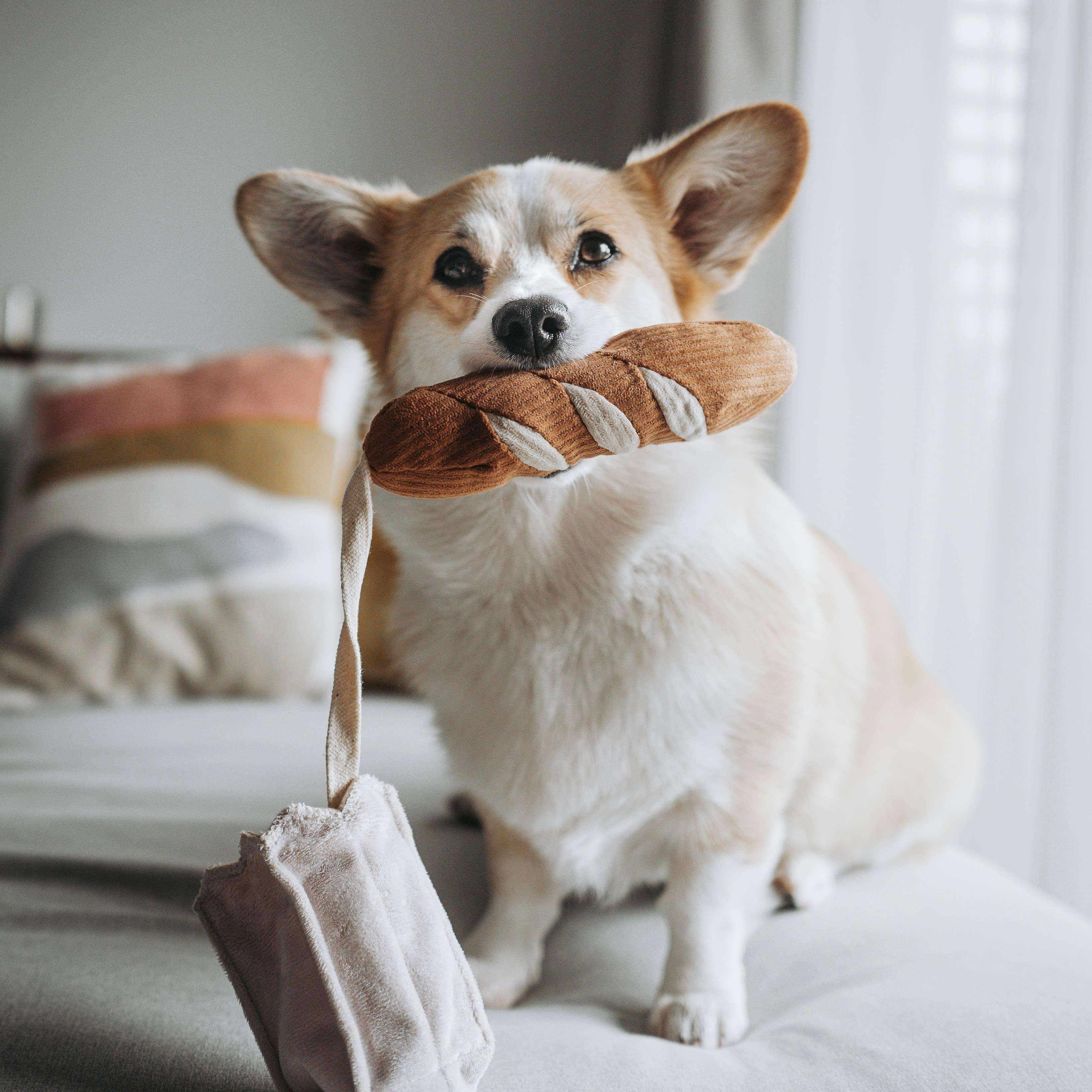 Lambwolf Mini-Baguette Schnüffelspielzeug für kleine Hunde