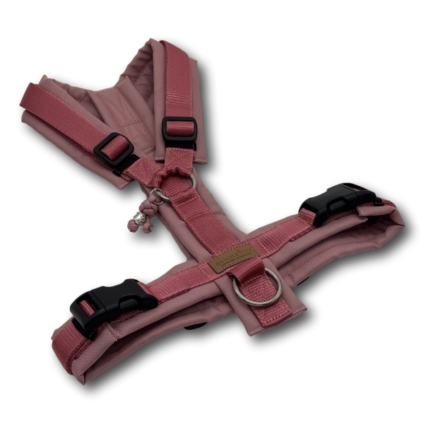 Y-Geschirr BT EasyWalk® Gr. M altrosa/altrosa Sofortkauf