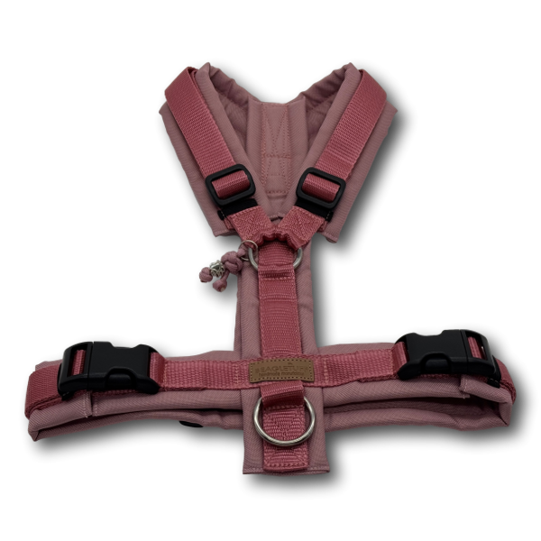 Y-Geschirr BT EasyWalk® Gr. M altrosa/altrosa Sofortkauf