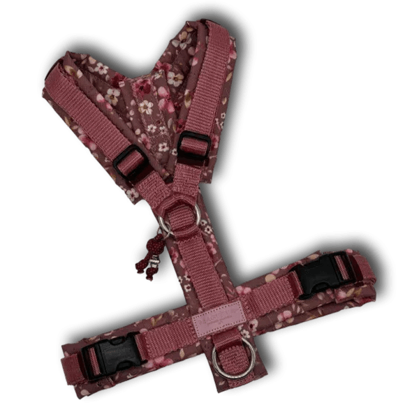 Y-Geschirr BT EasyWalk® Blütenzauber mauve Gr. S - Beagletuff