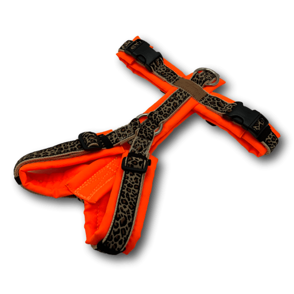 BT EasyWalk® Y-Geschirr in leuchtendem Neonorange mit gepolstertem Brustbereich, verstellbaren Riemen in Leopardenmuster und schwarzen Schna