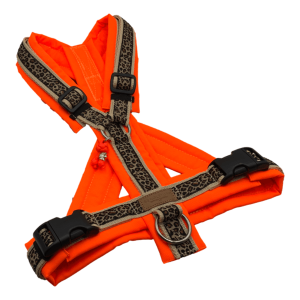 Y-Geschirr für Hunde in Neonorange mit leopardem Muster auf den Gurten, voll gepolstert und verstellbar, mit schwarzen Schnallen und silbern