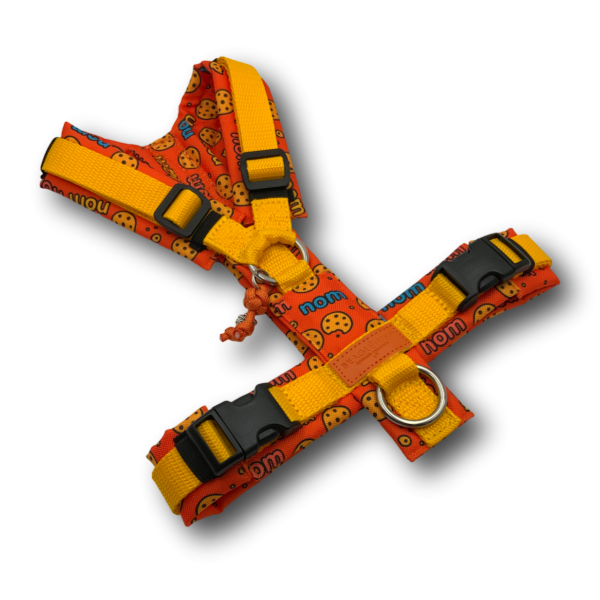 Y-Geschirr BT EasyWalk® Cookie orange