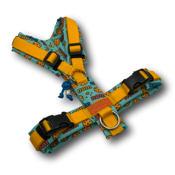 Y-Geschirr BT EasyWalk® Cookie türkis