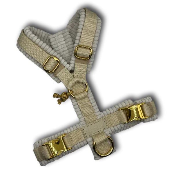 Y-Geschirr BT EasyWalk® Cord creme Gr. XS - Beagletuff