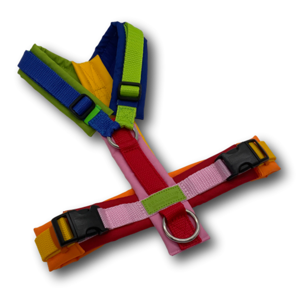 Y-Geschirr BT EasyWalk® Edition Julia Gr. S Sofortkauf