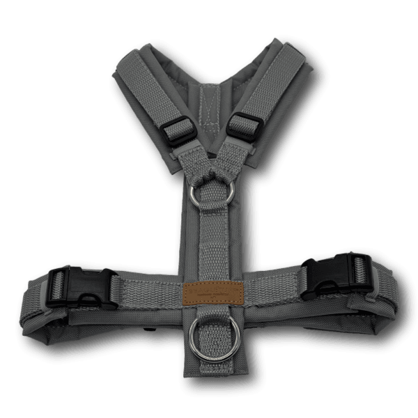 Y-Geschirr BT EasyWalk® grau/grau Gr. S - Beagletuff