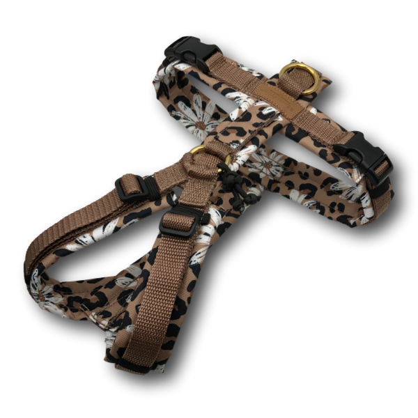 Y-Geschirr BT EasyWalk® LeoBlume