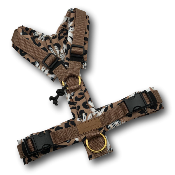 Y-Geschirr BT EasyWalk® Gr. S LeoBlume Sofortkauf