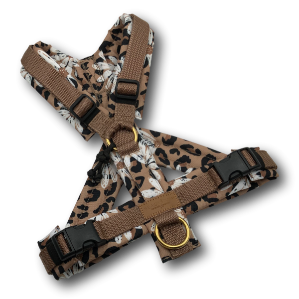 Y-Geschirr BT EasyWalk® LeoBlume