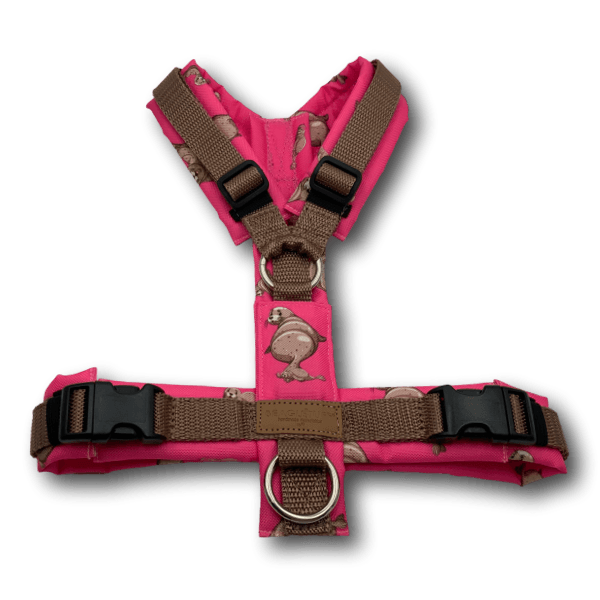 Y-förmiges Hundegeschirr in kräftigem Pink mit braunen Gurtbändern und kleinem, wiederkehrendem Vogel-Motiv auf dem Polster, vollständig gep