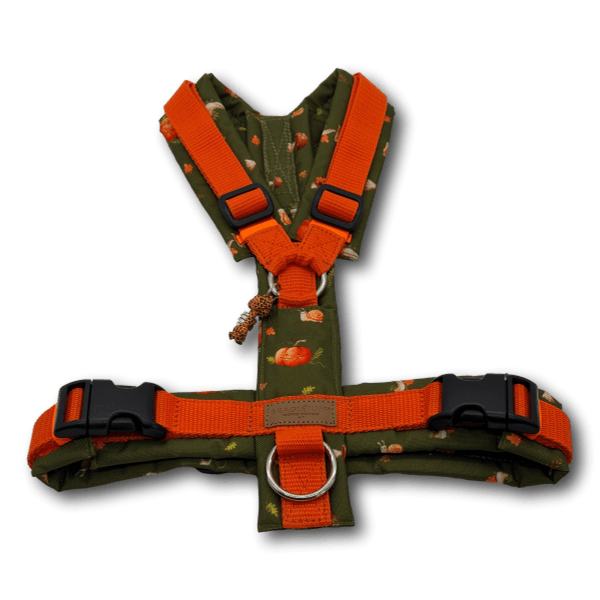 Y-Geschirr BT EasyWalk® orange Herbst grün Gr. M Sofortkauf - Beagletuff