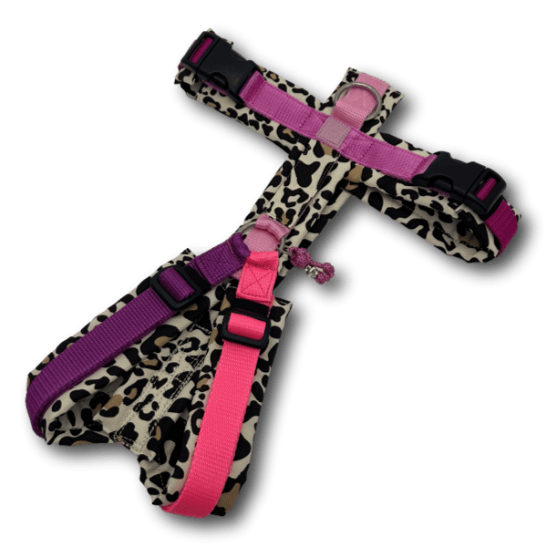 Y-Geschirr in Leopardmuster mit pinken und violetten Gurten, voll gepolstert und ergonomisch gestaltet, verstellbar an Hals und Brust mit BT
