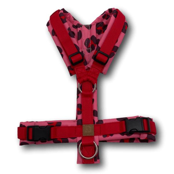 Y-Geschirr BT EasyWalk® Pink Panther Leo