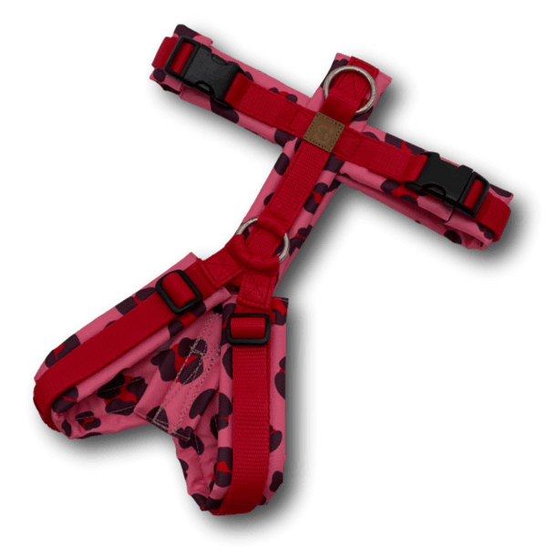 Y-Geschirr BT EasyWalk® Pink Panther Leo