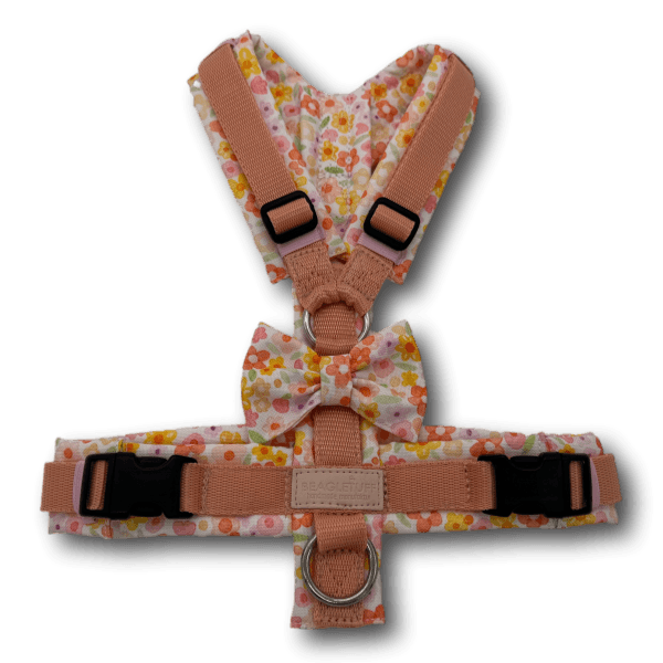 BT EasyWalk® Peach Meadow Hundegeschirr von vorne mit Schleife am Bruststeg, rosa Label und Edelstahlringen
