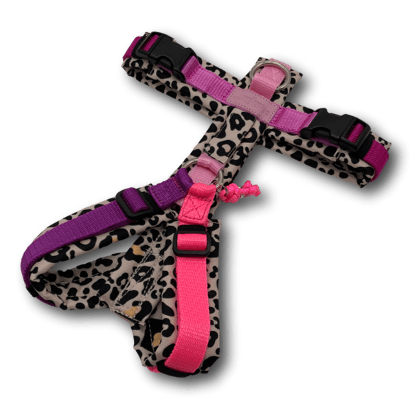 Y-Geschirr BT EasyWalk® Pink Wildheart