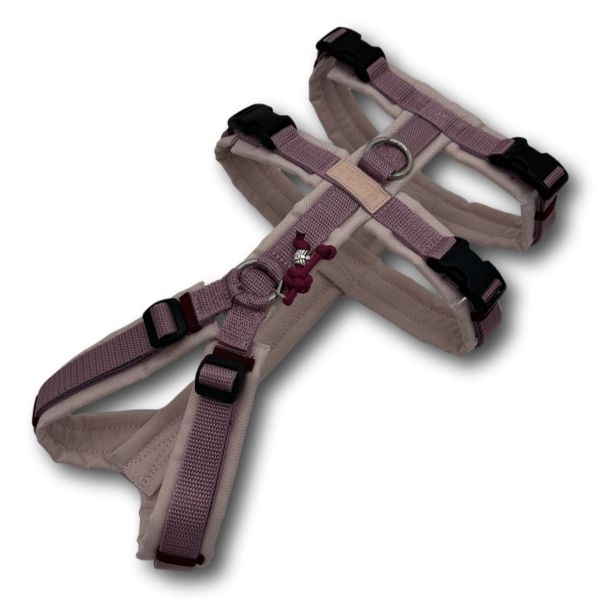 BT EasyWalk® Plus - Sicherheitsgeschirr