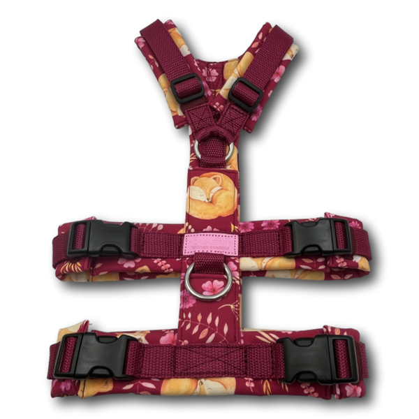 BT EasyWalk® Plus - Sicherheitsgeschirr