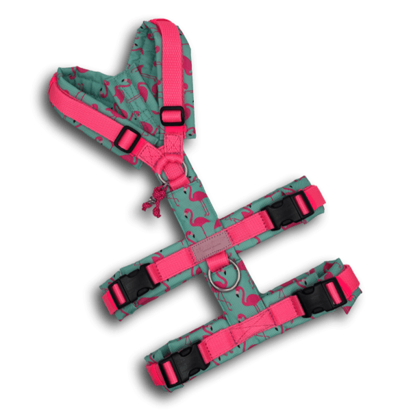 Y-Geschirr BT EasyWalk® Plus Flamingo Dream Gr. S - Beagletuff