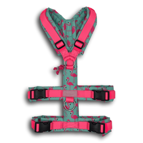 Y-Geschirr BT EasyWalk® Plus Flamingo Dream Gr. S - Beagletuff