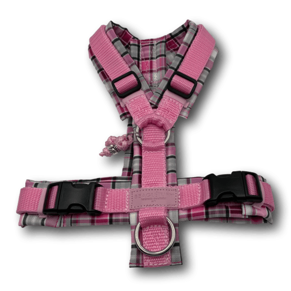 Y-Geschirr BT EasyWalk® rosa/Karo pink Gr. XS - Beagletuff