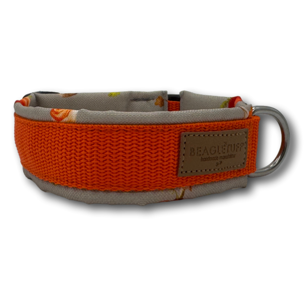 BT Halsband Herbst grau Gr. S Sofortkauf