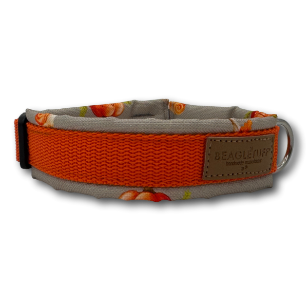 BT Halsband Herbst grau Gr. XS Sofortkauf