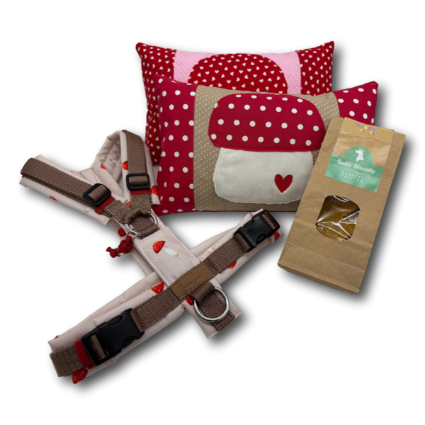 Herbst-Set mit BT EasyWalk® Geschirr Fliegenpilz, Kissen und Hundekeksen