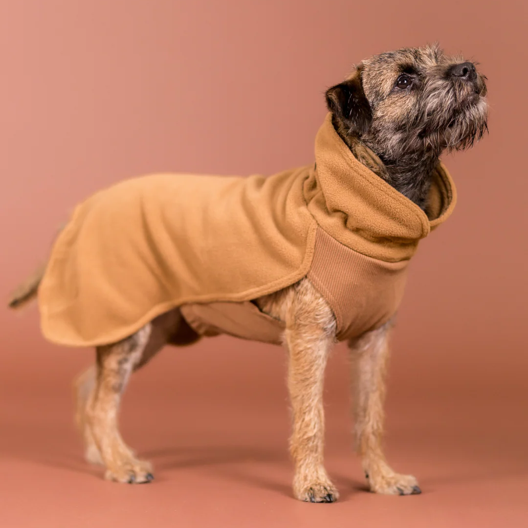 Kleiner Hund trägt das braune PAIKKA Seawool Hundeshirt – Seitenansicht, warm und bequem sitzend.