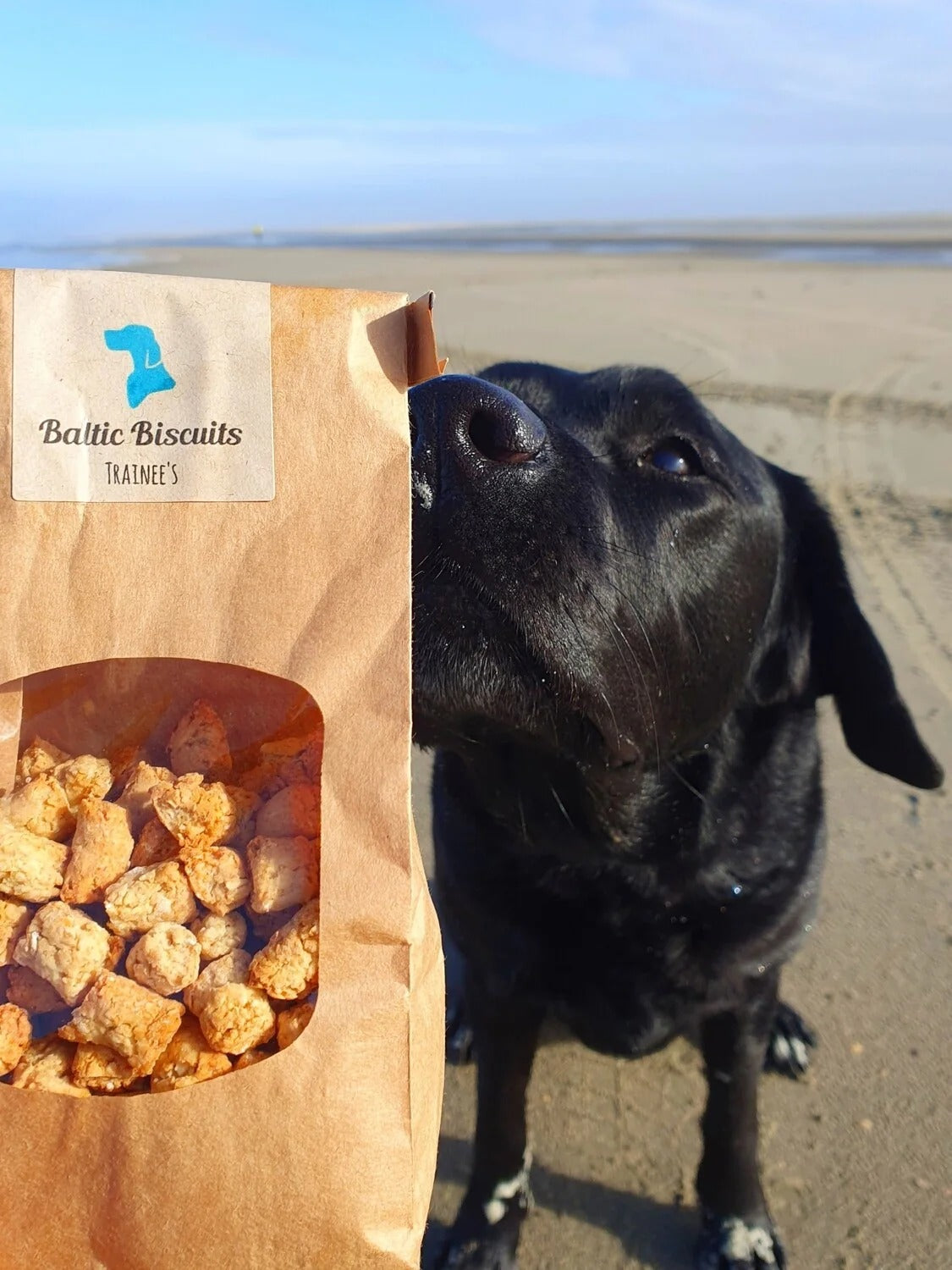 Baltic Biscuits  Trainee's Hafer-Käse