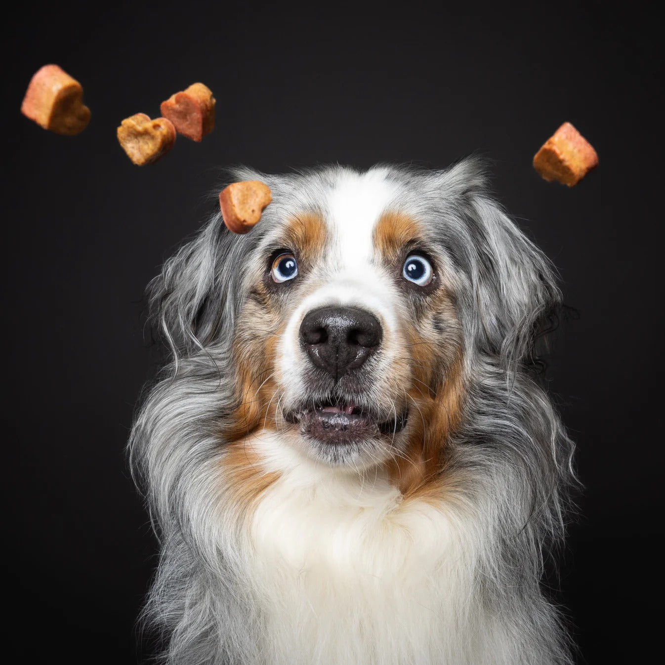 Baltic Biscuits Leckerbisschen
