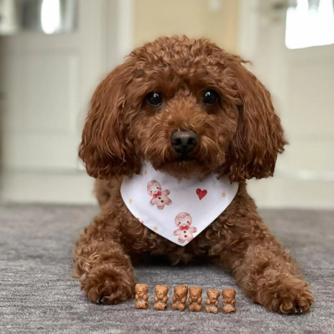 Baltic Biscuits  Himbären
