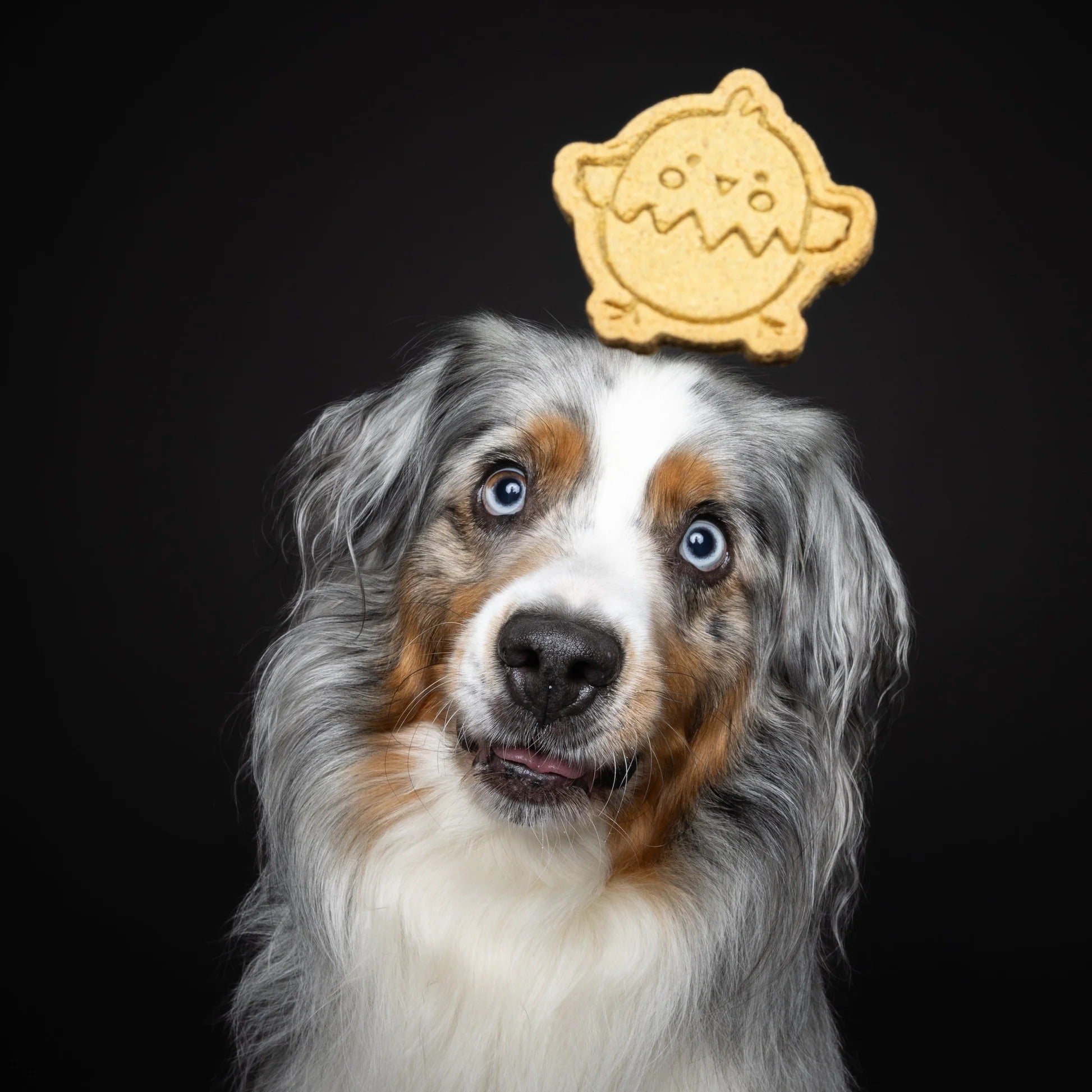 Baltic Biscuits  Hoppelhappe