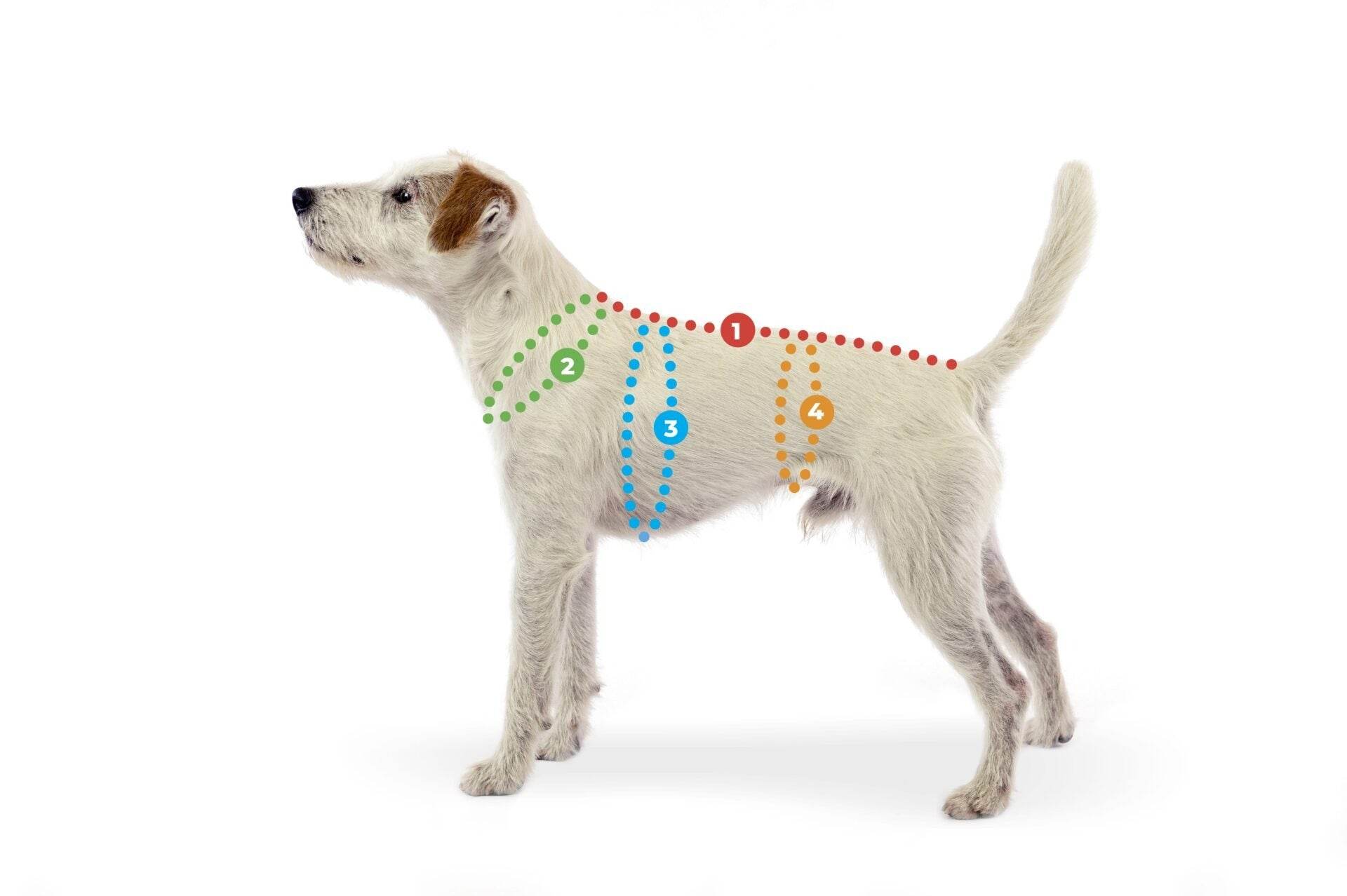 Fleece Pullover JumppaPomppa Trail - Beagletuff