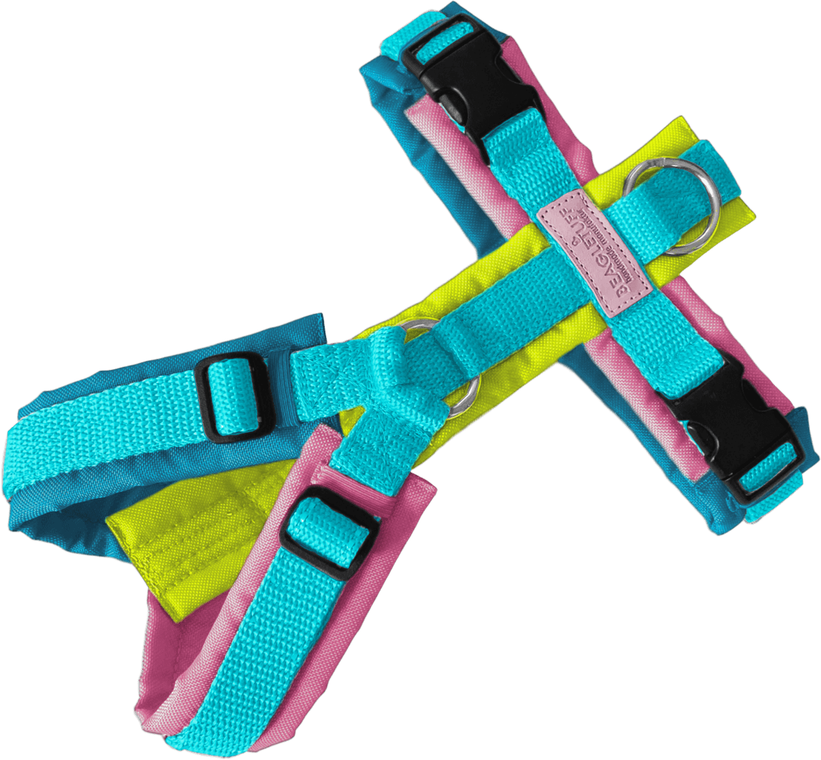 BT EasyWalk® Bunt – Neon Rosa-Türkis Edition - Beagletuff