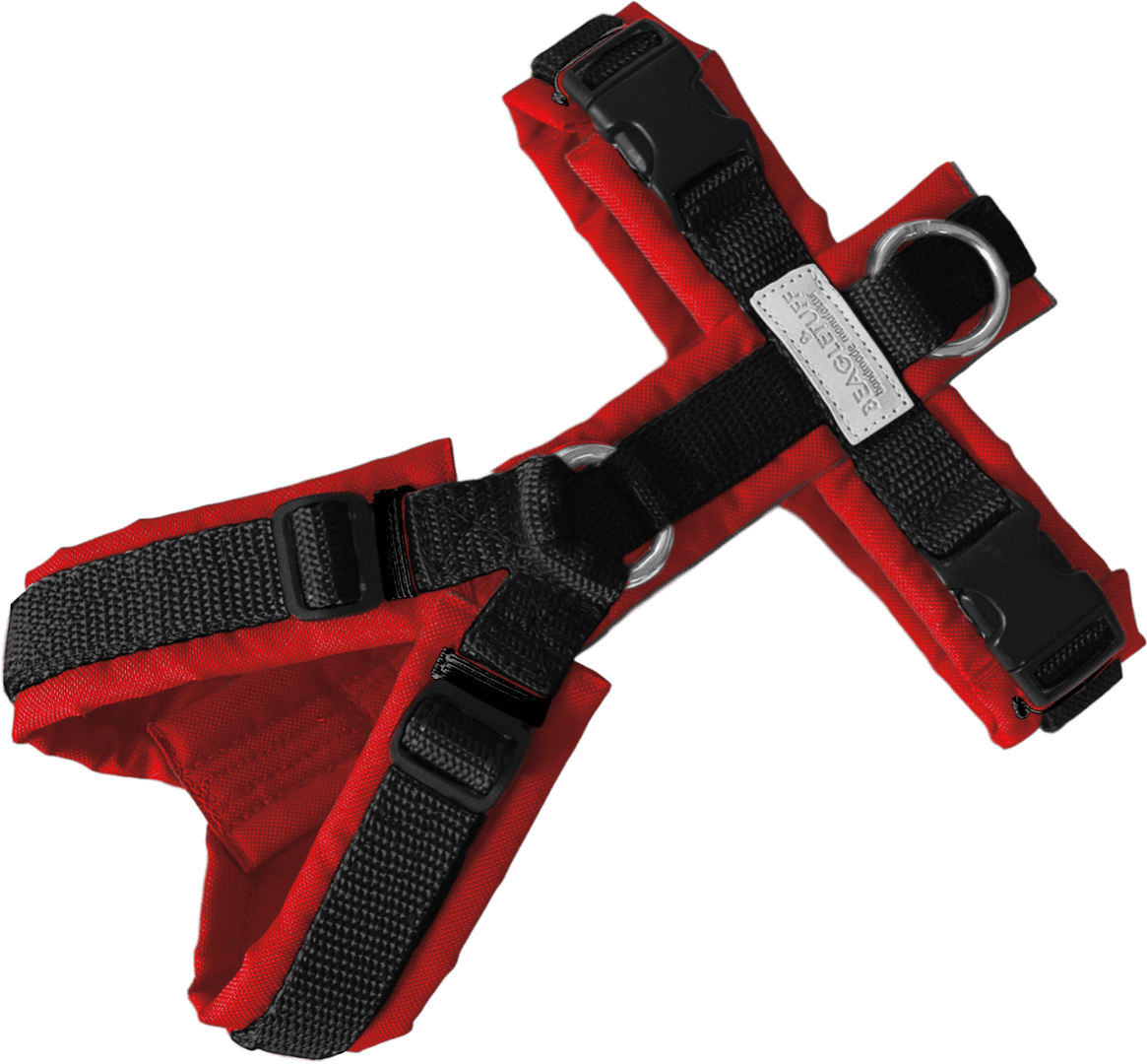 BT EasyWalk® Standard – Rot/Schwarz Edition - Beagletuff