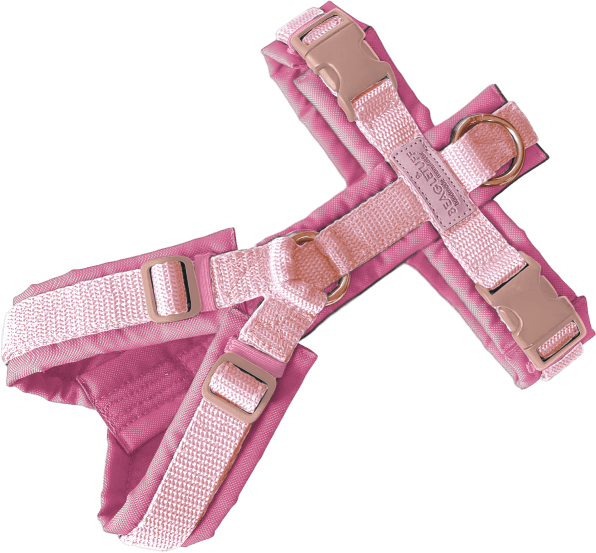 BT EasyWalk® Standard – Rosa Edition - Beagletuff