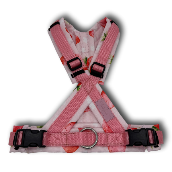 BT EasyWalk® X lachsrosa/Erdbeeren rosa Gr. S