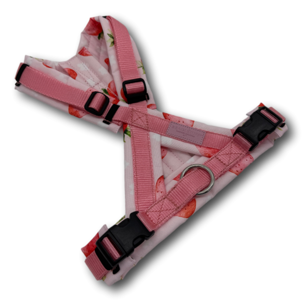 BT EasyWalk® X lachsrosa/Erdbeeren rosa Gr. S